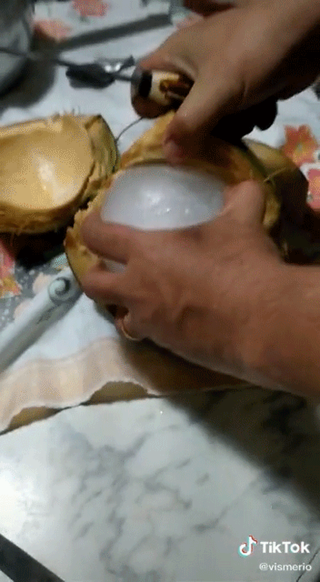 Bất ngờ với loại dừa có phần ruột đặc tròn xoe, xem kỹ mới phát hiện ra &quot;mánh khoé&quot; phía sau - Ảnh 2.