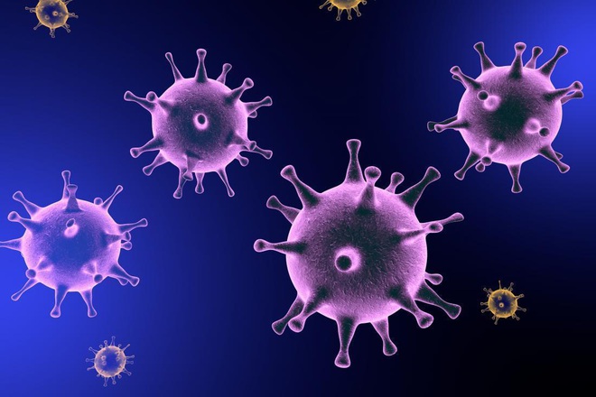 Sự thật: Virus không thể chết được, vậy con người đã ngăn chặn những dịch bệnh nguy hiểm bấy lâu nay bằng cách nào? - Ảnh 3.
