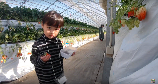 Bất chấp quy định khắt khe của Youtube, bé Sa vẫn xuất hiện trong vlog mới của mẹ Quỳnh Trần, còn bập bẹ nói: “Nhớ cô chú lắm” - Ảnh 3.