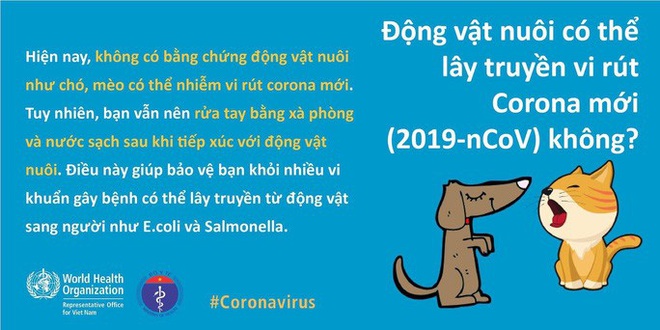 Bộ Y tế v&agrave; WHO giải đ&aacute;p thắc mắc nhận bưu phẩm, thư t&iacute;n c&oacute; l&acirc;y nhiễm virus corona hay kh&ocirc;ng - Ảnh 1.