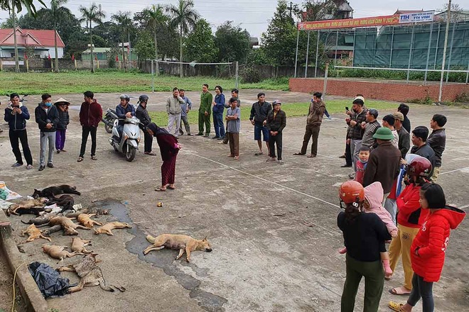 Anh em ruột ném bả đầu độc chó bị người dân vây bắt bàn giao cho công an - Ảnh 2.