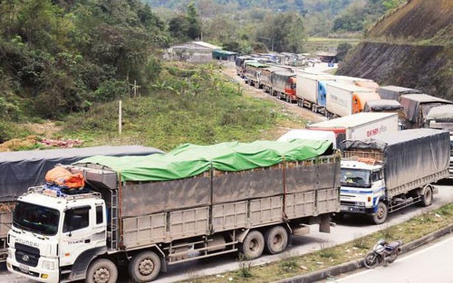 Sau khi thông quan, container chở nông sản Việt tiếp tục mắc kẹt ở Trung Quốc - Ảnh 1.