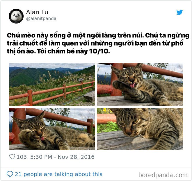 K&ecirc;u gọi mọi người viết review những vị ho&agrave;ng thượng họ gặp tr&ecirc;n đường v&agrave; kết quả thật ho&agrave;n hảo - Ảnh 1.