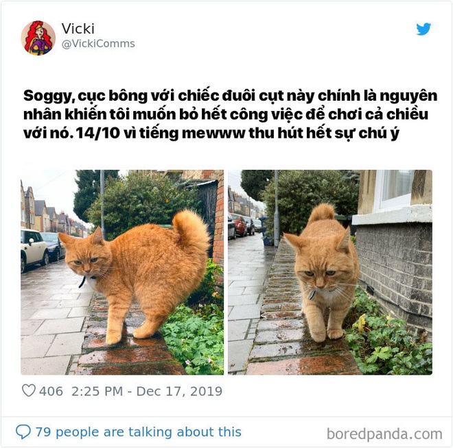 K&ecirc;u gọi mọi người viết review những vị ho&agrave;ng thượng họ gặp tr&ecirc;n đường v&agrave; kết quả thật ho&agrave;n hảo - Ảnh 11.