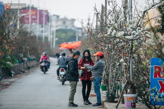 Tết đã hết nhưng thú chơi hoa đào, hoa lê rừng bạc triệu của người Hà Nội chưa hết bao giờ! - Ảnh 9.