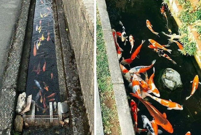 Những hình ảnh chứng minh Nhật Bản là đất nước “ngoài hành tinh”, khách du lịch đến một lần là nhớ cả đời (Phần 12) - Ảnh 1. Những hình ảnh chứng minh Nhật Bản là đất nước “ngoài hành tinh”, khách du lịch đến một lần là nhớ cả đời (Phần 12) - Ảnh 1.