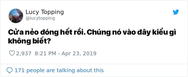 Bị cặp đôi bồ câu ăn nhờ ở đậu trong nhà tận 2 tiếng, bà chị viết được cả một chương truyện gay cấn - Ảnh 2.