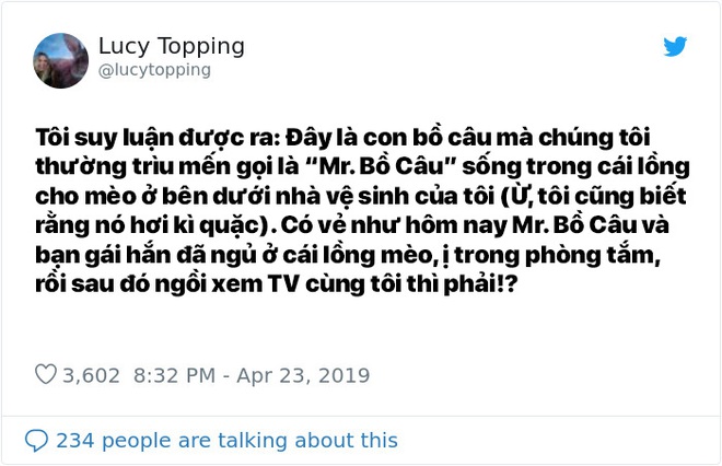 Bị cặp đôi bồ câu ăn nhờ ở đậu trong nhà tận 2 tiếng, bà chị viết được cả một chương truyện gay cấn - Ảnh 5.