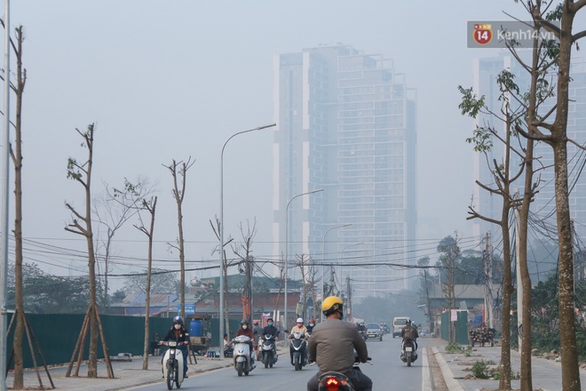 Hà Nội: Mới trồng chưa được 1 năm, hàng cây chết dọc tuyến đường mới mở bị chặt bỏ hàng loạt, chuẩn bị trở thành… củi khô - Ảnh 2.