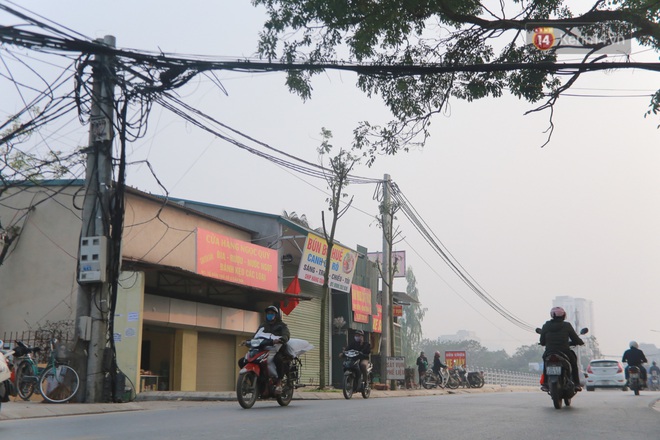 Hà Nội: Mới trồng chưa được 1 năm, hàng cây chết dọc tuyến đường mới mở bị chặt bỏ hàng loạt, chuẩn bị trở thành… củi khô - Ảnh 9.