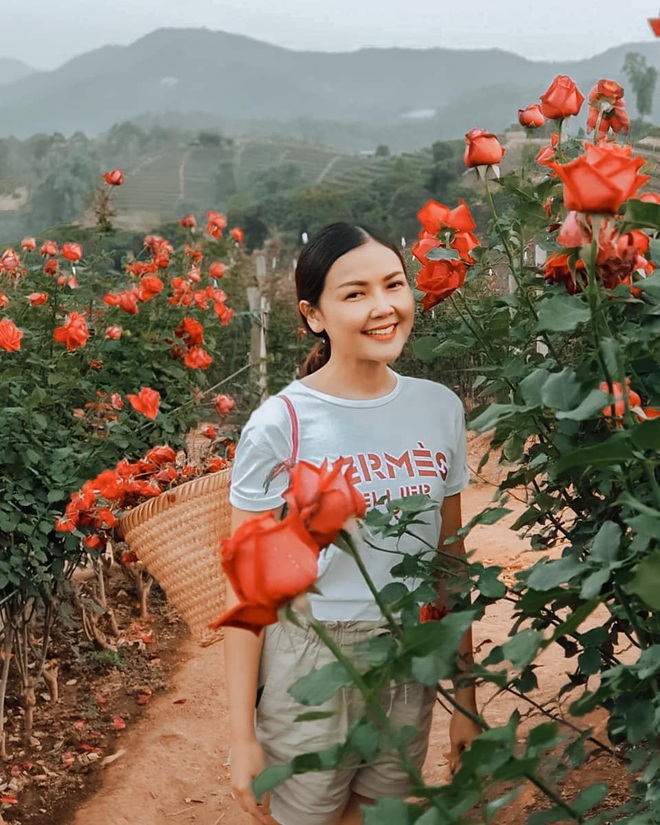 Mãn nhãn trước vườn hồng triệu đóa đang gây sốt ở Chiang Mai, đẹp thế này hèn gì dân tình đổ xô đi check in là phải - Ảnh 6.