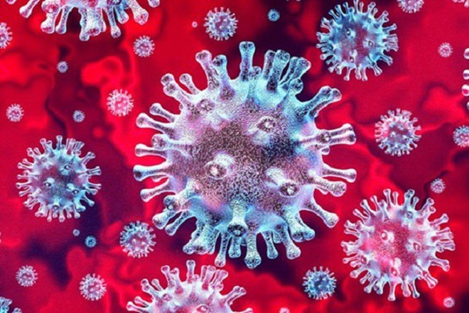Thực hư thông tin WHO liên tục đổi tên virus gây dịch COVID-19 - Ảnh 1.