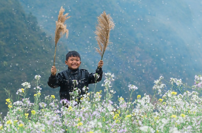 Không đến Hà Giang vào thời điểm vàng, cô bạn vẫn thu về cả một album săn hoa cực đẹp khiến cư dân mạng trầm trồ - Ảnh 4.