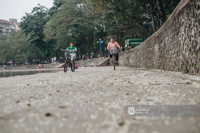 Chưa đến tháng 3, hoa sưa đã nở trắng trời: Lại một mùa hoa rất tình và rất Hà Nội! - Ảnh 4.