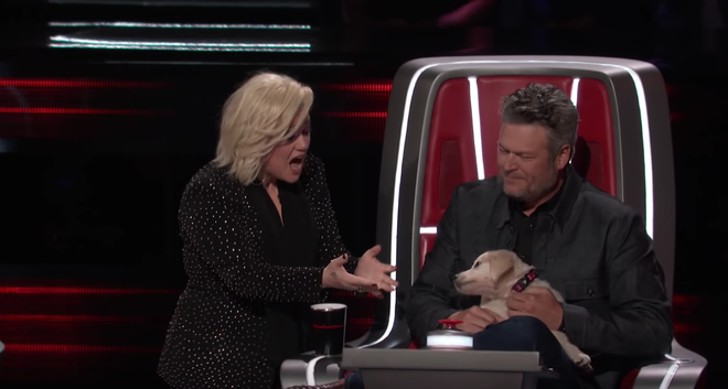 The Voice US: Blake Shelton đưa một chú cún cực yêu ra đối đầu với Nick Jonas - Ảnh 6.