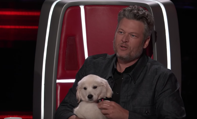 The Voice US: Blake Shelton đưa một chú cún cực yêu ra đối đầu với Nick Jonas - Ảnh 8.