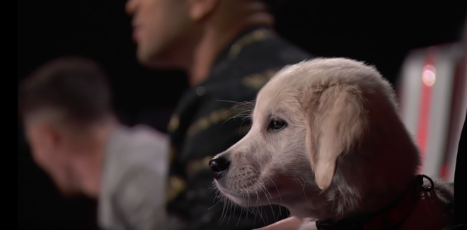 The Voice US: Blake Shelton đưa một chú cún cực yêu ra đối đầu với Nick Jonas - Ảnh 12.
