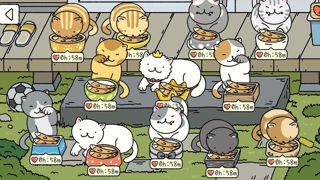 Đi tìm 12 chú mèo khó chiều trong Adorable Home phiên bản thật ...