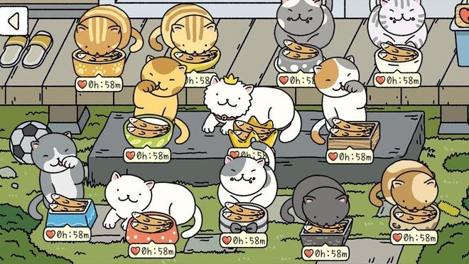 Hoá ra trước khi Adorable Home nổi đình nổi đám, còn có một tựa game chăm boss Neko Atsume: Kitty Collector cũng cực kỳ hay ho! - Ảnh 9.