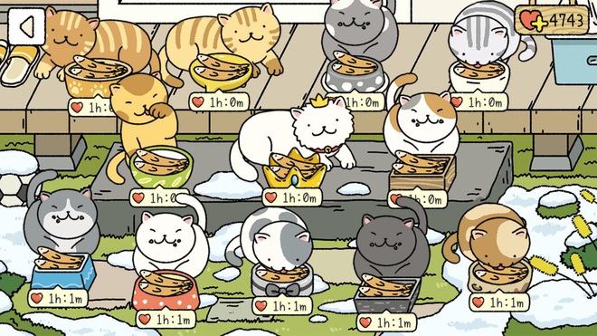 Mải miết với việc chăm m&egrave;o, vun đắp hạnh ph&uacute;c lứa đ&ocirc;i nhưng bạn c&oacute; nhận ra những b&agrave;i học ẩn sau Adorable Home kh&ocirc;ng? - Ảnh 1.