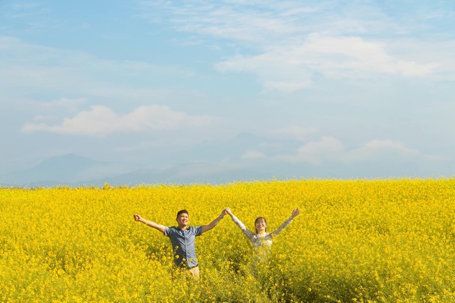 D&#226;n mạng sửng sốt trước c&#225;nh đồng hoa cải v&#224;ng đẹp như tranh vẽ c&#243; thật tại Đ&#224; Lạt, xem ảnh m&#224; ngỡ đ&#226;u nước Nhật xa x&#244;i - Ảnh 1.