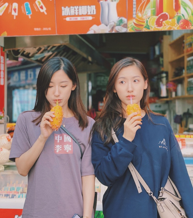 Cặp chị em sinh đôi nổi tiếng nhất Trung Quốc từng tốt nghiệp Harvard bây giờ ra sao? - Ảnh 9.