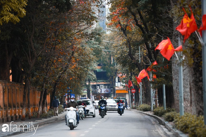 Hà Nội tháng Ba mà cứ ngỡ thu về, bởi vừa có nắng vàng dịu ngọt, vừa có thảm lá vàng đi lạc sau giấc ngủ đông - Ảnh 18.