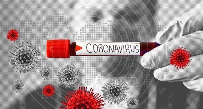 Mỹ cấp phép cho bộ xét nghiệm virus SARS-CoV-2 trong vòng 3,5 giờ - Ảnh 1.