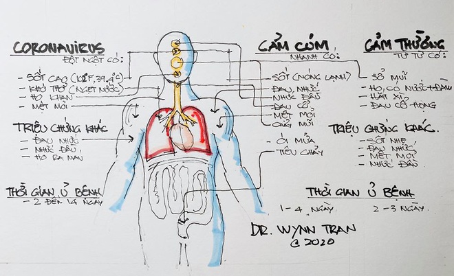 Chuyên gia chia sẻ cách phân biệt triệu chứng giữa Coronavirus, Cảm cúm và Cảm thường đơn giản, dễ nhớ nhất! - Ảnh 9.