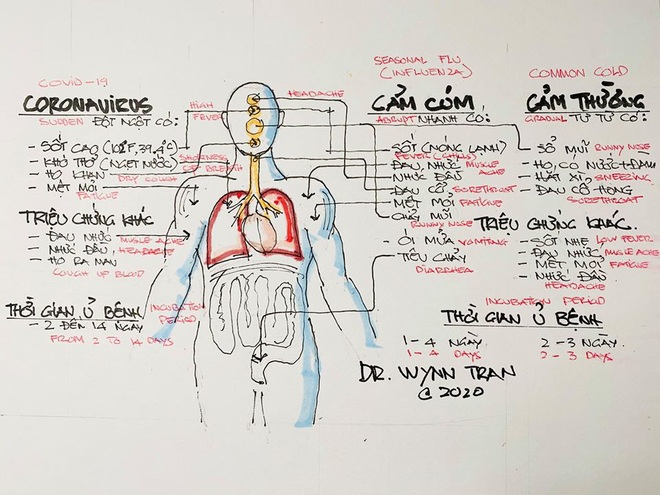 Chuyên gia chia sẻ cách phân biệt triệu chứng giữa Coronavirus, Cảm cúm và Cảm thường đơn giản, dễ nhớ nhất! - Ảnh 8.