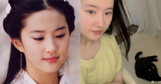 Mỹ nh&acirc;n Hoa ngữ sau 12 năm da vẫn đẹp: Ch&acirc;u Tấn đi ngủ kh&ocirc;ng bật điều h&ograve;a, Triệu Vy đi đ&acirc;u cũng k&egrave; k&egrave; Vaseline - Ảnh 9.