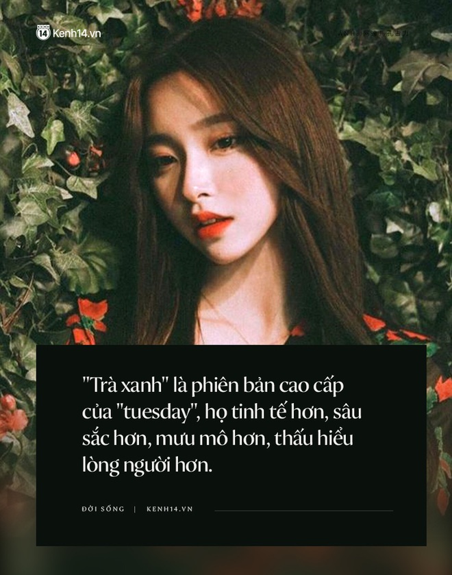 Hơn cả Tuesday, trà xanh là thể loại con gái mới mà các thanh niên phải tránh càng xa càng tốt - Ảnh 2.