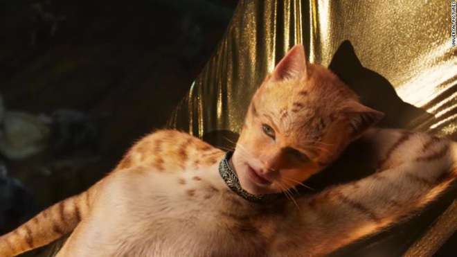 Trần như nhộng chưa đủ sợ, netizen đòi NSX Cats tung link lộ phao câu của cô mèo Taylor - Ảnh 1.