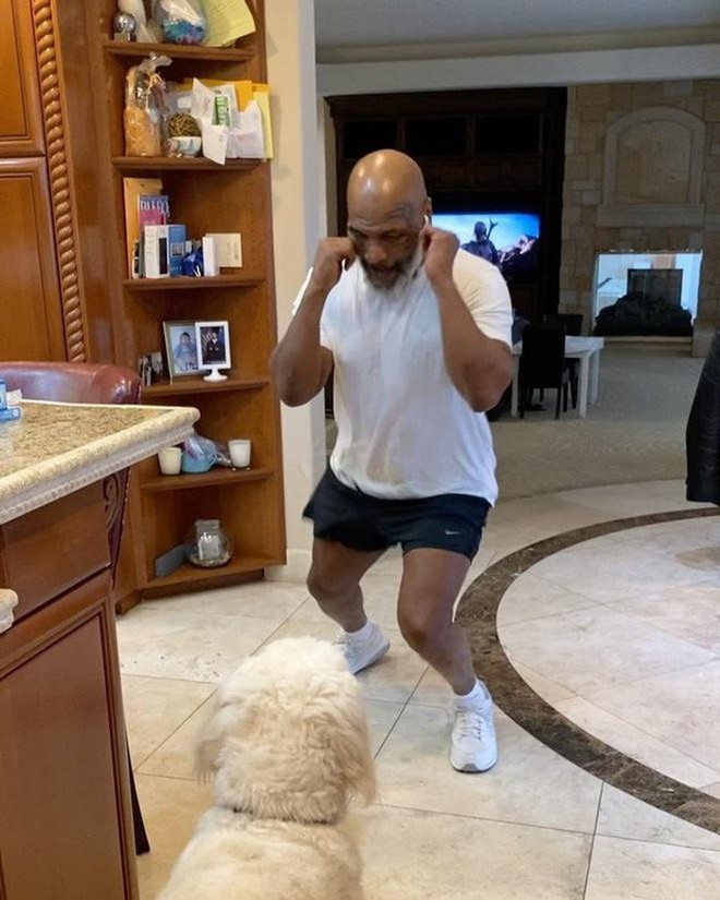 Huyền thoại Mike Tyson khiến c&aacute;c fan trầm trồ sau khi l&agrave;m v&agrave;i đường với c&uacute;n cưng: Tuổi 53 nhưng vẫn giữ tốc độ kinh ho&agrave;ng - Ảnh 2.