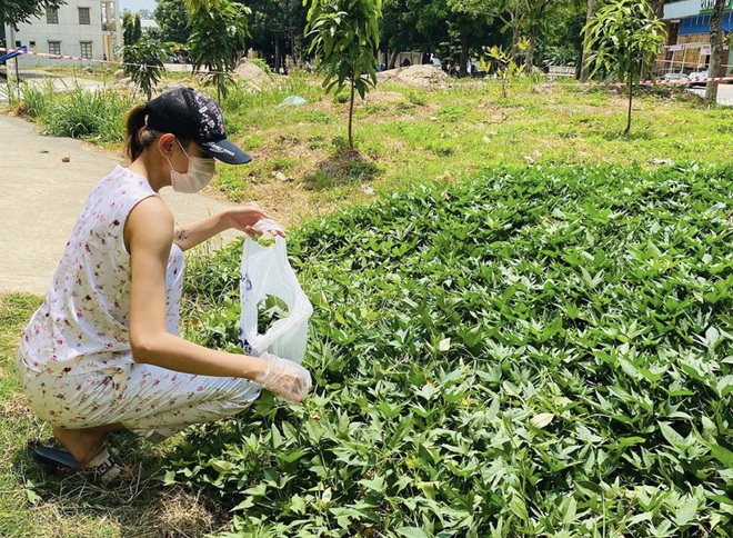 Đi cách ly nhưng lớp khẩu nghiệp của Võ Hoàng Yến có cả hoạt động ngoại khoá: tự hái rau lang organic để làm bữa trưa - Ảnh 3.