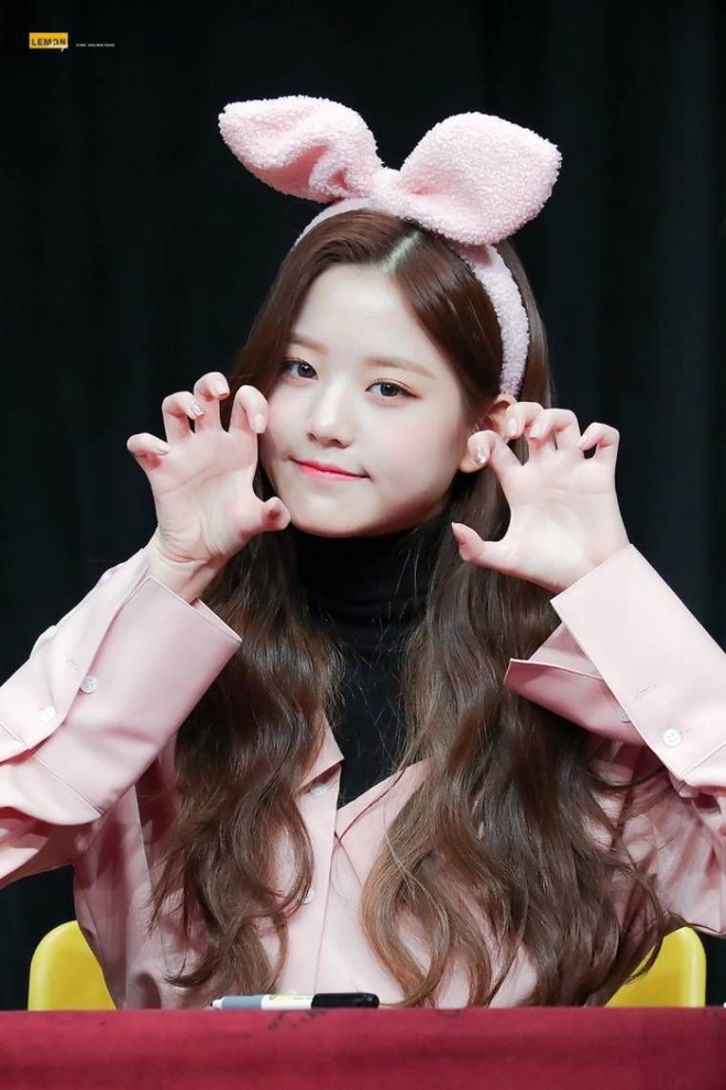 Phát hiện bầy thỏ trà trộn giữa dàn idol Kpop: Cute, sexy đủ cả với 2 điểm chung đặc biệt, nhưng ai mới là thỏ chúa? - Ảnh 15.