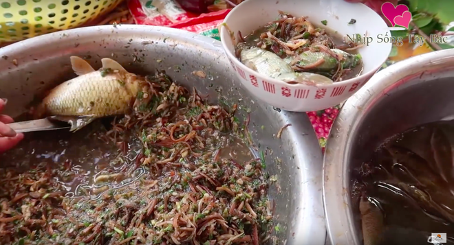 Những món ăn sống kinh dị nhất Việt Nam: có món là đặc sản nổi tiếng nhưng vẫn khiến nhiều người “khiếp đảm” - Ảnh 1.