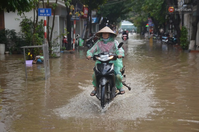 Hà Nội: Nhiều tuyến phố ngập nghiêm trọng, cây xanh bật gốc đổ ngang đường sau cơn mưa như trút nước - Ảnh 5.