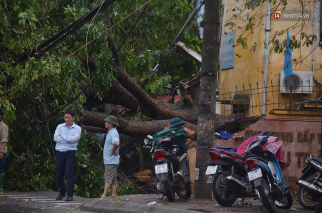 Hà Nội: Nhiều tuyến phố ngập nghiêm trọng, cây xanh bật gốc đổ ngang đường sau cơn mưa như trút nước - Ảnh 12.