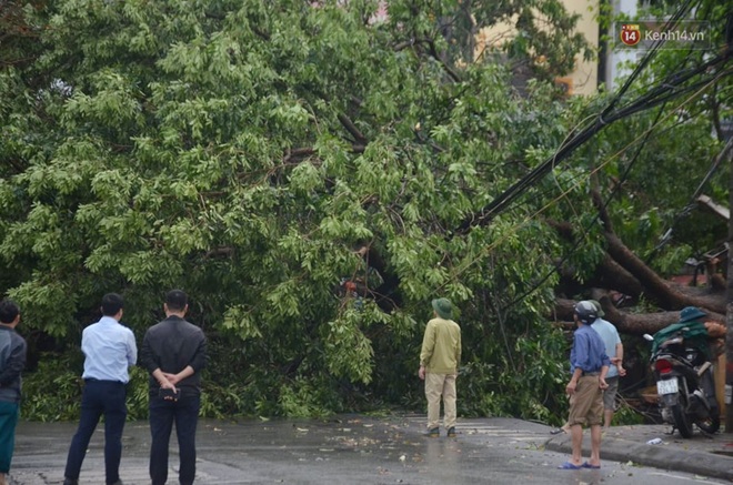 Hà Nội: Nhiều tuyến phố ngập nghiêm trọng, cây xanh bật gốc đổ ngang đường sau cơn mưa như trút nước - Ảnh 13.