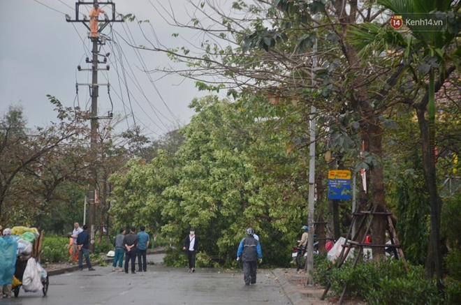 Hà Nội: Nhiều tuyến phố ngập nghiêm trọng, cây xanh bật gốc đổ ngang đường sau cơn mưa như trút nước - Ảnh 15.