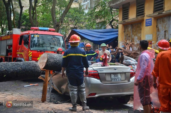 Hà Nội: Cây cổ thụ bật gốc vì mưa lớn, đè nát ô tô đậu trên vỉa hè - Ảnh 3.