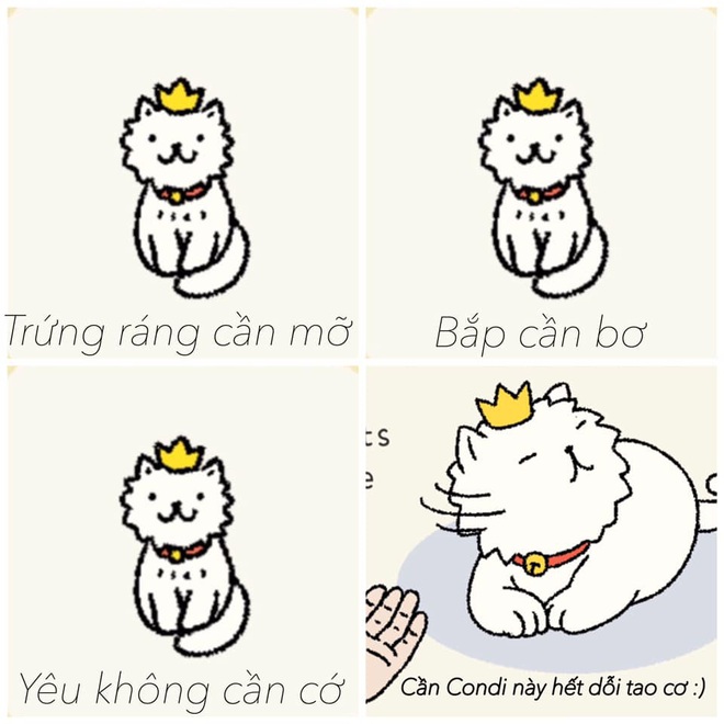 Kh&ocirc;ng chỉ c&oacute; sự cute của c&aacute;c boss m&egrave;o, Adorable Home c&ograve;n nhiều khoảnh khắc g&acirc;y &aacute;m ảnh tột độ - Ảnh 6.