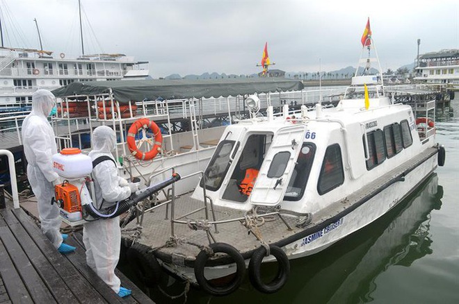Cách ly tàu du lịch có hành khách bay cùng cô gái nhiễm Covid-19 - Ảnh 2.