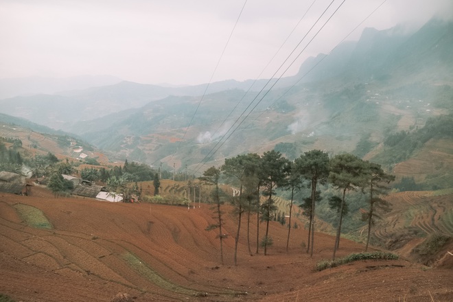Hà Giang tháng 3 đẹp mê hồn trong mắt cô gái trẻ xứ Thanh, thật khó tin khi 4 loài hoa núi rừng đủ sắc màu cùng nở một lúc - Ảnh 4. Hà Giang tháng 3 đẹp mê hồn trong mắt cô gái trẻ xứ Thanh, thật khó tin khi 4 loài hoa núi rừng đủ sắc màu cùng nở một lúc - Ảnh 4.