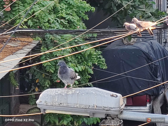 Ở nh&agrave; tr&aacute;nh dịch mới thấy điện thoại c&oacute; ống nh&ograve;m xa thực sự l&agrave; một lợi thế - Ảnh 9.