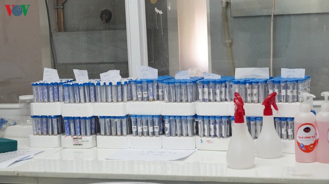 TP HCM không cho phép xét nghiệm Covid-19 tự nguyện - Ảnh 1.