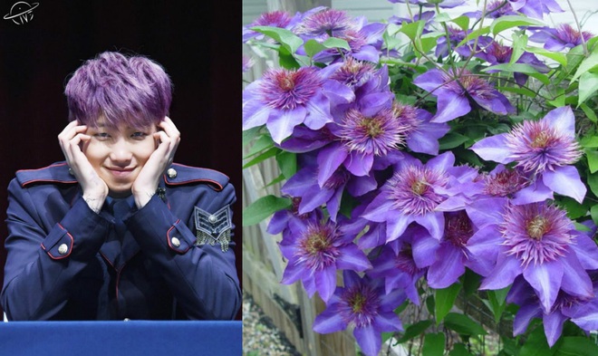 Hóa ra hình xăm của Jungkook (BTS) có liên quan đến loài hoa đại diện cho ngày sinh! - Ảnh 2.