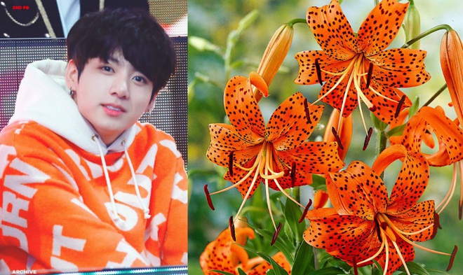 Hóa ra hình xăm của Jungkook (BTS) có liên quan đến loài hoa đại diện cho ngày sinh! - Ảnh 7.