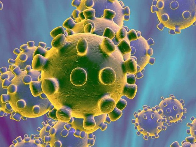 Virus SARS-CoV-2 có thể sống sót khi tiếp xúc lâu với nhiệt độ cao - Ảnh 1.